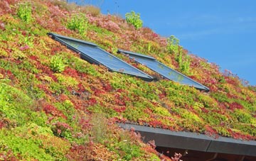 Pitcombe living roof systems