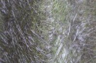 Pitcombe fibreglass roof work